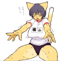 Rule 34 | animal ears, blush, breasts, cat ears, cat tail, fang, gym uniform, kemonon, large breasts, oekaki, plump, stretching, sweat, tail, translation request