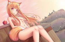Rule 34 | 1girl, animal ears, apple, blush, breasts, brown hair, food, fruit, hair censor, holo, kaptivate, long hair, looking at viewer, nude, red eyes, sitting, smile, solo, spice and wolf, tail, wolf ears, wolf girl, wolf tail