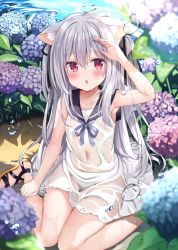 Rule 34 | 1girl, animal ear fluff, animal ears, arm up, bare arms, bare shoulders, black ribbon, black sailor collar, blue flower, brown footwear, commentary, covered navel, dog ears, dog girl, dog tail, dress, flower, grey hair, hair between eyes, hair ribbon, hydrangea, koinu-chan, kujou danbo, long hair, looking at viewer, original, panties, parted lips, purple flower, rainbow, red eyes, ribbon, sailor collar, sandals, see-through, sleeveless, sleeveless dress, solo, symbol-only commentary, tail, two side up, underwear, very long hair, water, wet, wet clothes, wet dress, white dress, white panties