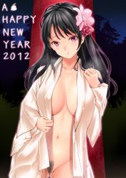 Rule 34 | 10s, 1girl, 2012, amasora taichi, black hair, blush, breasts, female pubic hair, flower, hair flower, hair ornament, large breasts, long hair, looking at viewer, naked shirt, navel, new year, night, night sky, no bra, open clothes, open robe, original, pubic hair, red eyes, robe, shirt, sky, solo, star (sky)