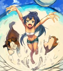 Rule 34 | 1girl, :d, animal, arms up, azuki (azuki-taste), black hair, blue eyes, breasts, cleavage, day, dog, fangs, ganaha hibiki, hamster, hamuzou, highres, idolmaster, idolmaster (classic), inumi, jumping, long hair, looking at viewer, midriff, navel, open mouth, ponytail, shorts, small breasts, smile