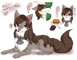 Rule 34 | 1226 waka, animal ears, animalization, brooch, brown fur, brown hair, brown tail, claws, disembodied limb, drooling, food, headpat, highres, imaizumi kagerou (wolf), jewelry, long hair, meat, red eyes, saliva, sekibanki, touhou, tray, wakasagihime, white background, white fur, wolf, wolf ears