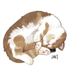 Rule 34 | cat, closed eyes, commentary, da-cart, no humans, original, simple background, symbol-only commentary, white background