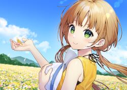 Rule 34 | 1girl, blue sky, bon (bonbon315), brown hair, commentary request, day, field, flower, flower field, from behind, green eyes, hat, long hair, looking at viewer, looking back, low twintails, original, outdoors, shirt, sky, sleeveless, sleeveless shirt, smile, solo, twintails, unworn hat, unworn headwear, upper body, white background, yellow shirt