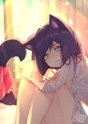 Rule 34 | 1girl, animal ear fluff, animal ears, backlighting, black hair, blue eyes, blurry, blurry background, blush, cat ears, cat girl, cat tail, chita (ketchup), commentary request, depth of field, dress shirt, fangs, highres, indoors, knees up, hugging own legs, long hair, long sleeves, looking at viewer, original, parted lips, red ribbon, ribbon, shirt, signature, sitting, sleeves past wrists, solo, tail, tail ornament, tail ribbon, white shirt