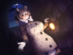 Rule 34 | 1girl, bird tail, blush, book, bookshelf, breasts, brown hair, coat, eurasian eagle owl (kemono friends), fur collar, grey coat, head wings, highres, indoors, kemono friends, lantern, large breasts, library, looking at viewer, mo23, moon, night, night sky, outstretched hand, owl ears, reaching, reaching towards viewer, short hair, sky, solo, tail, wings