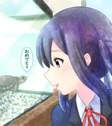 Rule 34 | 1girl, black hair, black jacket, blush, brown eyes, collared shirt, commentary request, fish tank, highres, jacket, k-on!, looking at animal, looking to the side, nakano azusa, neck ribbon, parted lips, portrait, red ribbon, ribbon, sakuragaoka high school uniform, school uniform, shirt, smile, speech bubble, teeth, tmakatof, ton-chan, translation request, turtle, twintails, upper teeth only, white shirt