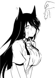 Rule 34 | 1girl, anetai toyone, animal ears, bell, breasts, collar, greyscale, hair over one eye, itamochi, kemonomimi mode, large breasts, long hair, monochrome, open clothes, open shirt, saki (manga), school uniform, shirt, short hair, simple background, solo, wet