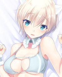 Rule 34 | 108 gou, 10s, 1girl, animal ears, bare arms, bare shoulders, bed sheet, blonde hair, blue eyes, blush, bra, brave witches, breasts, center opening, cleavage, cleavage cutout, clenched hands, clothing cutout, detached collar, eyes visible through hair, grey bra, hair between eyes, large breasts, looking at viewer, lying, nikka edvardine katajainen, on back, open mouth, portrait, short hair, solo, sweat, underwear, wavy mouth, weasel ears, world witches series, wrist cuffs
