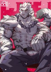 Rule 34 | 1boy, abs, absurdres, animal ears, arasukanya (littleblackalas), arknights, bara, bulge, chain, chain necklace, feet out of frame, fluffy, furry, furry male, grey pants, highres, jewelry, large pectorals, looking at viewer, male focus, mountain (arknights), muscular, muscular male, navel, necklace, nipples, pants, pectorals, scar, scar across eye, scar on arm, scar on chest, scar on face, scar on stomach, short hair, sitting, solo, spread legs, stomach, tail, tail raised, tiger boy, tiger ears, tiger tail, topless male, white fur, white hair