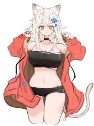 Rule 34 | 1girl, absurdres, animal ears, black choker, black shorts, blush, breasts, choker, cleavage, closed mouth, coat, commentary, crop top, earrings, fuyu yafunu, hair between eyes, hair ornament, highres, jewelry, large breasts, long hair, long sleeves, looking at viewer, multiple rings, open clothes, open coat, original, red coat, red eyes, ring, short shorts, shorts, simple background, solo, strapless, tail, torn clothes, triangle earrings, tube top, white background, white hair, x hair ornament