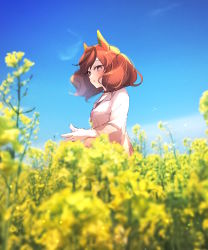 Rule 34 | 1girl, :o, animal ears, blue sky, blurry, blurry background, blurry foreground, breasts, brown eyes, brown hair, cloud, collared shirt, day, depth of field, field, flower, flower field, horse ears, looking away, nice nature (umamusume), ouri (aya pine), outdoors, parted lips, shirt, sky, small breasts, solo, twintails, umamusume, upper body, white shirt, yellow flower
