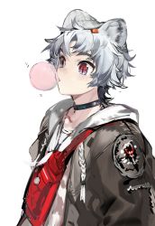 Rule 34 | 1boy, animal ears, arknights, bag, bear boy, bear ears, bishounen, blush, chewing gum, choker, grey hair, highres, infection monitor (arknights), jacket, male focus, qanipalaat (arknights), red eyes, short hair, simple background, solo, upper body, white background, yyb