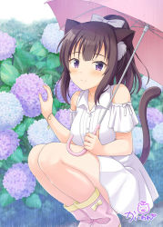 Rule 34 | 1girl, animal ear fluff, animal ears, bare shoulders, black hair, blue flower, blush, boots, bow, breasts, cat ears, cat girl, cat tail, closed mouth, clothing cutout, collarbone, collared shirt, commentary request, dress shirt, feet out of frame, flower, hair bow, holding, holding umbrella, hydrangea, kaiware-san, long hair, looking at viewer, medium breasts, original, pink footwear, pink umbrella, pleated skirt, ponytail, purple eyes, purple flower, shirt, shoulder cutout, signature, skirt, smile, solo, squatting, tail, tail raised, umbrella, white bow, white shirt, white skirt, yellow bow