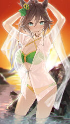 Rule 34 | 1girl, absurdres, ahoge, animal ears, arms up, bikini, blurry, blurry background, blush, breasts, brown hair, caustics, cleavage, closed mouth, covered navel, criss-cross halter, green bikini, green eyes, hair between eyes, hair ornament, hair tie in mouth, hairclip, halterneck, highres, horse ears, horse girl, horse tail, long hair, looking at viewer, medium breasts, mouth hold, mr. c.b. (umamusume), o-ring, o-ring bikini, ocean, outdoors, ponytail, rock, smile, solo, standing, sunlight, swimsuit, swimsuit cover-up, tail, tying hair, umamusume, umeumeduka, wading, water, wet, wet hair