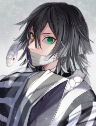 Rule 34 | 1boy, animal, black hair, black jacket, commentary request, covered mouth, green eyes, hair between eyes, heterochromia, iguro obanai, jacket, kimetsu no yaiba, long sleeves, looking at viewer, male focus, matsurika youko, sleeves past fingers, sleeves past wrists, snake, solo, striped, upper body, vertical stripes, white snake, wide sleeves, yellow eyes