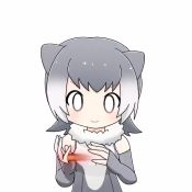 Rule 34 | 1girl, animal ears, animated, commentary, elbow gloves, facing viewer, fingerless gloves, fur collar, gloves, gradient hair, grey gloves, grey hair, kemono friends, looping animation, multicolored hair, one-piece swimsuit, simple background, small-clawed otter (kemono friends), smile, solo, swimsuit, taro (tontaro), tossing, video, white background, white hair