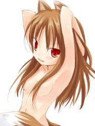 Rule 34 | 00s, 1girl, animal ears, armpits, arms up, brown hair, censored, convenient censoring, hair censor, hair over breasts, holo, kuro (be ok), long hair, nude, red eyes, solo, spice and wolf, tail, wolf ears, wolf tail