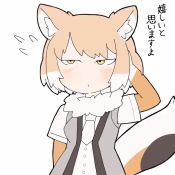 Rule 34 | 1girl, animal ears, animated, arm at side, blush, brown hair, chibi, commentary request, elbow gloves, flustered, flying sweatdrops, fox ears, fox tail, fur collar, gloves, hand in own hair, hand up, jitome, kemono friends, light brown hair, looking up, looping animation, medium hair, multicolored hair, necktie, parted bangs, parted lips, scratching head, shirt, short sleeves, solo, tail, taro (tontaro), tibetan fox (kemono friends), two-tone hair, upper body, vest, video, white hair, yellow eyes