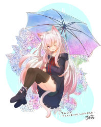 Rule 34 | 1girl, ;d, absurdres, animal ear fluff, animal ears, black footwear, black jacket, blue flower, blue umbrella, blush, boots, brown thighhighs, cat ears, cat girl, cat tail, collarbone, commentary request, coreytaiyo, dated, facial mark, fang, flower, frilled jacket, frilled sleeves, frills, full body, green skirt, hair between eyes, heart, heart in eye, highres, holding, holding umbrella, hood, hood down, hooded jacket, hydrangea, jacket, long hair, long sleeves, looking at viewer, neck ribbon, one eye closed, open mouth, original, purple eyes, purple flower, rain, red ribbon, ribbon, see-through, see-through sleeves, signature, skirt, sleeves past wrists, smile, solo, star (symbol), symbol in eye, tail, thighhighs, thighhighs under boots, translation request, transparent, transparent umbrella, two side up, umbrella, very long hair, white hair, wide sleeves