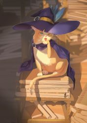 Rule 34 | ;p, absurdres, animal, animal focus, blue eyes, book, book stack, cape, cat, clothed animal, hat feather, hat ornament, highres, jin rou, licking, licking paw, looking at viewer, no humans, one eye closed, original, purple cape, purple headwear, scroll, shadow, shelf, sunlight, tail, tail ornament, tail ring, tongue, tongue out, whiskers
