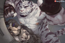 2boys abs against_wall anal animal_ears arknights artist_name bara brown_fur clenched_teeth closed_eyes commentary cross_scar ear_piercing english_commentary english_text eyebrow_piercing fangs fingerless_gloves furry furry_male gloves highres hyena_boy hyena_ears hyena_tail male_focus mountain_(arknights) multiple_boys muscular muscular_male nipples patreon_logo patreon_username pectorals piercing saliva scar scar_across_eye scar_on_face spot_(arknights) spotted_fur striped_fur tail teeth tiger tiger_boy tiger_ears tiger_stripes tiger_tail topless_male twitter_username white_fur white_tiger wulfersheperd yaoi