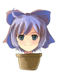 Rule 34 | 1girl, bad id, bad pixiv id, cirno, embodiment of scarlet devil, face, flower pot, moriya, parody, plant, pot girl, potted plant, smile, solo, tomak, touhou, what