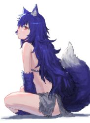 Rule 34 | 1girl, animal ear fluff, animal ears, blue hair, closed mouth, commentary request, fenrir (shingeki no bahamut), from side, full body, highres, indian style, loincloth, long hair, looking at viewer, pout, red eyes, shingeki no bahamut, simple background, sitting, solo, tail, wasabi60, white background, wolf ears, wolf tail