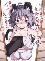 Rule 34 | 1girl, ahoge, angry, animal ears, bloomers, blush, clenched teeth, cowboy shot, furorina, grey hair, highres, mouse ears, mouse tail, nazrin, one-hour drawing challenge, red eyes, sliding doors, solo, tagme, tail, tears, teeth, touhou, translation request, underwear, v-shaped eyebrows
