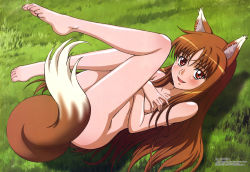 Rule 34 | 00s, 1girl, :d, absurdres, animal ears, barefoot, blush, breast hold, breasts, censored, convenient censoring, covering privates, covering breasts, covering crotch, fang, feet, grass, highres, holo, knees to chest, long hair, long legs, lying, megami magazine, non-web source, nude, nude cover, official art, open mouth, outdoors, red eyes, smile, solo, spice and wolf, tail, tail censor, tanaka masayuki, toes, very long hair, wolf ears, wolf tail, zenra