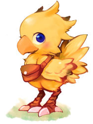 Rule 34 | bag, beak, blue eyes, blush, chocobo, claws, final fantasy, final fantasy fables, kadu, knapsack, looking at viewer, no humans, solo, square enix, standing, talons