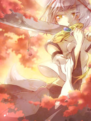 Rule 34 | 1girl, animal ears, autumn leaves, bare shoulders, breasts, detached sleeves, extra ears, inubashiri momiji, kouho (matya03), leaf, looking at viewer, midriff, pom pom (clothes), short hair, silver hair, solo, sword, tail, touhou, branch, weapon, wolf ears, wolf tail, yellow eyes