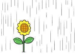 Rule 34 | comic, dora ita, flower, no humans, rain, silent comic, sunflower, touhou, umbrella
