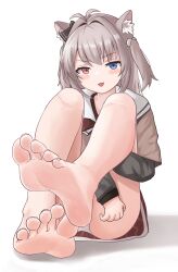 Rule 34 | 1girl, :3, absurdres, animal ear fluff, animal ears, bare legs, barefoot, blue eyes, blush, brown hair, brown shirt, commission, convenient leg, dorsiflexion, eyelashes, feet, foot focus, foot up, foreshortening, full body, greek toe, grey sleeves, heterochromia, highres, hugging own legs, knees up, legs, long hair, long sleeves, looking at viewer, lts kakuyo, miniskirt, on ground, open mouth, original, panties, pink eyes, red skirt, sailor collar, school uniform, shadow, shirt, short sleeves, simple background, sitting, skeb commission, skirt, soles, solo, toenails, toes, two side up, underwear, white background, white panties