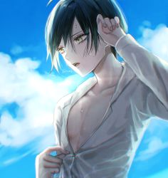 Rule 34 | 1boy, ahoge, black hair, brown eyes, collarbone, commentary request, danganronpa (series), danganronpa v3: killing harmony, day, hair between eyes, hand up, long sleeves, male focus, open mouth, outdoors, saihara shuichi, sakuyu, shirt, short hair, sky, solo, summer, teeth, twitter username, undressing, upper body, upper teeth only, wet, wet clothes, wet shirt, white shirt