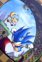 Rule 34 | 2boys, :d, afterimage, animal ears, banel springer, black eyes, blue sky, clenched hands, cloud, cloudy sky, commentary, day, dust cloud, flower, flying, fox ears, fox tail, full body, furry, furry male, gloves, green hill zone, hedgehog ears, highres, hill, male focus, motion lines, multiple boys, multiple tails, open mouth, outdoors, red footwear, rock, running, shoes, sky, smile, sonic (series), sonic the hedgehog, sonic the hedgehog (classic), tail, tails (sonic), totem, white gloves