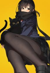 Rule 34 | 1girl, animal, black cat, black footwear, black hair, black jacket, black pantyhose, black scarf, black skirt, blazer, blush, brown eyes, cat, commentary, foreshortening, highres, jacket, loafers, looking at viewer, miniskirt, one side up, original, pantyhose, pleated skirt, scarf, school uniform, shoes, short hair, simple background, skirt, solo, symbol-only commentary, xkirara39x, yellow background