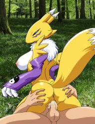 Rule 34 | 1boy, 1girl, anus, arched back, blue eyes, breasts, cowgirl position, cum, cum in pussy, digimon, digimon (creature), forest, furry, gloves, highres, large breasts, nature, outdoors, palcomix, photo background, renamon, straddling, tail, tree, uncensored