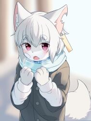 Rule 34 | 1boy, animal ears, animal hands, bandaid, bandaid on cheek, bandaid on face, blurry, blurry background, blush, breath, breathing on hands, buttons, coat, cold, ear tag, fang, furry, furry male, grey hair, hetakitsune, highres, male focus, notched ear, open mouth, original, purple eyes, skin fang, solo, tail, trap, wolf boy, wolf ears, wolf tail