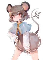 Rule 34 | 1girl, 2020, animal ears, bad id, bad pixiv id, black dress, black hair, blue capelet, blush, capelet, chinese zodiac, closed mouth, commentary request, dokomon, dress, gem, hair between eyes, highres, jewelry, korean commentary, long sleeves, mouse ears, mouse girl, mouse tail, nazrin, pendant, puffy long sleeves, puffy sleeves, red eyes, shirt, simple background, sleeves past wrists, solo, tail, touhou, white background, white shirt, year of the rat