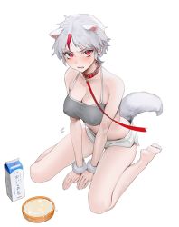 Rule 34 | 1girl, animal ears, bad id, bad twitter id, bare legs, bare shoulders, barefoot, blush, bowl, breasts, cleavage, collar, collarbone, covered erect nipples, cuffs, dog ears, dog tail, fake animal ears, full body, han&#039;you no yashahime, highres, higurashi towa, inuyasha, large breasts, leash, looking at viewer, lower teeth only, milk, milk carton, multicolored hair, nipples, ohisashiburi, open mouth, pet bowl, red collar, red eyes, red hair, short hair, shorts, silver hair, simple background, sitting, solo, sweatdrop, tail, tank top, teeth, tomboy, two-tone hair, v arms, wariza, white background, white shorts