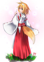 Rule 34 | 1girl, animal ears, blonde hair, blush, fox ears, fox tail, from behind, highres, japanese clothes, looking back, miko, original, otokuyou, smile, solo, tail