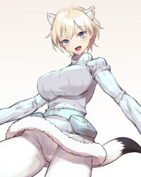 Rule 34 | 10s, 1girl, animal ears, blonde hair, blue eyes, blush, brave witches, breasts, chyko7080, commentary request, crotch seam, from below, highres, large breasts, looking at viewer, looking down, nikka edvardine katajainen, open mouth, pantyhose, ribbed sweater, short hair, smile, solo, strike witches, sweater, tail, uniform, weasel ears, weasel tail, white pantyhose, world witches series