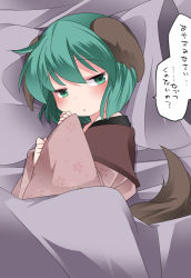 Rule 34 | 1girl, animal ears, aqua eyes, aqua hair, bad id, bad pixiv id, blanket, blush, commentary request, floral print, green eyes, green hair, hammer (sunset beach), kasodani kyouko, looking at viewer, lying, matching hair/eyes, off shoulder, on bed, on side, pillow, short hair, solo, tail, text focus, touhou, translation request, upper body