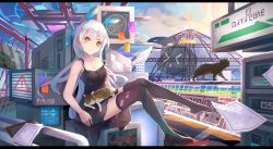 Rule 34 | !, .l.l, 1girl, absurdres, aircraft, animal, animal on lap, black dress, black thighhighs, clipboard, cloud, collarbone, computer, dirigible, dress, head tilt, highres, indoors, legs, letterboxed, long hair, looking at viewer, on lap, orca, original, paper, purple hair, science fiction, shoes, single shoe, sitting, sky, smile, solo, sticky note, sundress, thighhighs, thighs, whale, yellow eyes, zettai ryouiki