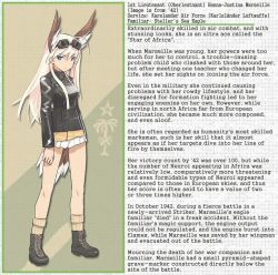 Rule 34 | 1girl, animal ears, blonde hair, boots, character profile, feathers, hanna-justina marseille, head wings, jacket, long hair, shimada fumikane, solo, strike witches, tail, uniform, wings, witches of africa, world witches series