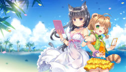 Rule 34 | 2girls, animal ears, beach, belt, belt skirt, black hair, blush, bracelet, breasts, brown hair, capura lin, cat ears, cat tail, character request, choker, cleavage, collarbone, copyright request, day, green eyes, jewelry, large breasts, locked arms, long hair, looking at viewer, looking away, multiple girls, navel, one eye closed, open mouth, palm tree, purple eyes, raccoon ears, raccoon tail, short hair, skirt, smile, tablet pc, tail, tree, yellow skirt