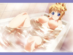 Rule 34 | 1girl, 2010, alternate hairstyle, bathing, bathtub, blush, breasts, hair ornament, hair up, hairclip, hand on own cheek, hand on own face, hand on own stomach, highres, hiiragi akao, indoors, jinki, large breasts, letterboxed, looking at viewer, navel, nipples, nude, partially submerged, smile, solo, tsunashima shirou