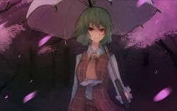 Rule 34 | 1girl, arm at side, ascot, breasts, cherry blossoms, collared shirt, commentary request, cowboy shot, dark, forest, frilled ascot, frilled shirt, frilled sleeves, frills, green hair, hair between eyes, highres, hinohikari, holding, holding umbrella, kazami yuuka, long sleeves, looking at viewer, medium breasts, nature, night, parasol, petals, plaid, plaid skirt, plaid vest, red eyes, red skirt, red vest, shirt, short hair, sideways glance, skirt, skirt set, slit pupils, smile, solo, standing, touhou, tree, umbrella, vest, wavy hair, white shirt, wind, yellow ascot