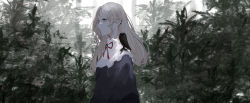 Rule 34 | 1girl, absurdres, bird, blue eyes, closed mouth, dress, expressionless, forest, from side, headless, highres, jewelry, long hair, mole, mole under eye, nature, necklace, original, outdoors, piercing, pikuson, plant, scenery, solo, tree, white background, white hair